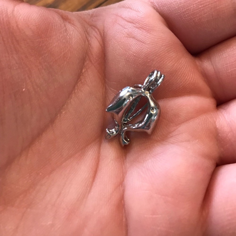 Pearl cage—dolphins